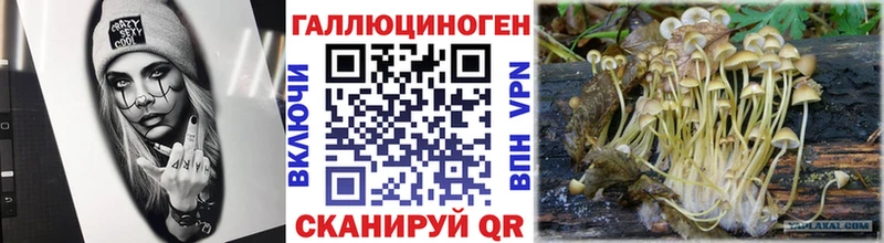 Псилоцибиновые грибы ЛСД Дмитровск